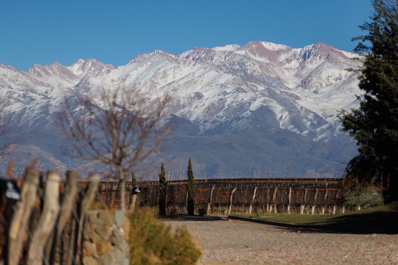 Caminho de terra entre vinhedos no inverno, com a Cordilheira dos Andes nevada ao fundo e ciprestes à beira da estrada